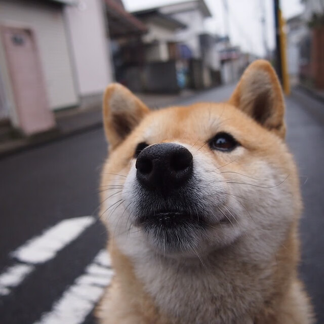 _运动休闲时尚：运动穿搭新趋势_，运动服装穿搭