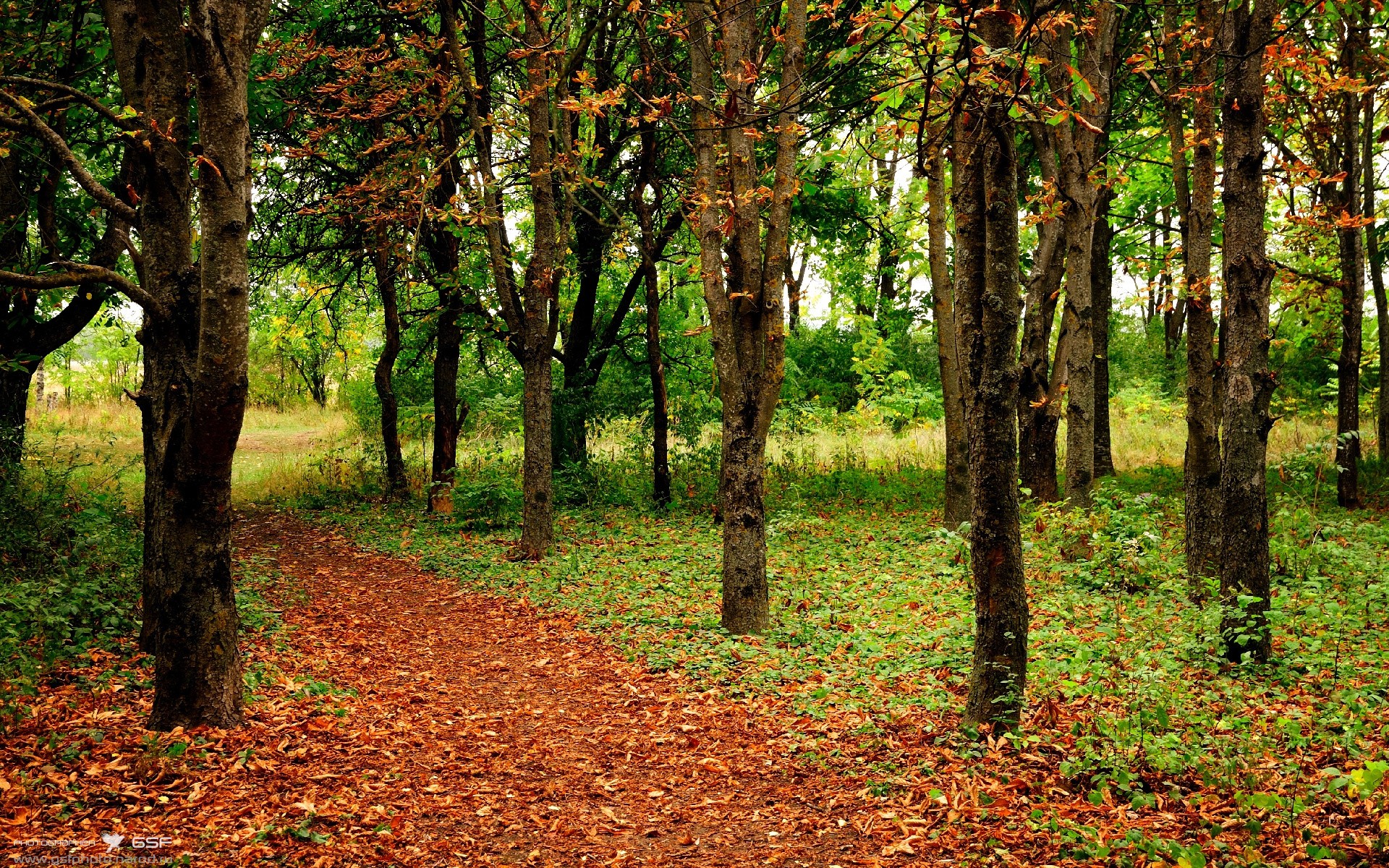 “未来之星：全国青少年足球冠军争霸赛圆满闭幕”，世界足球未来之星