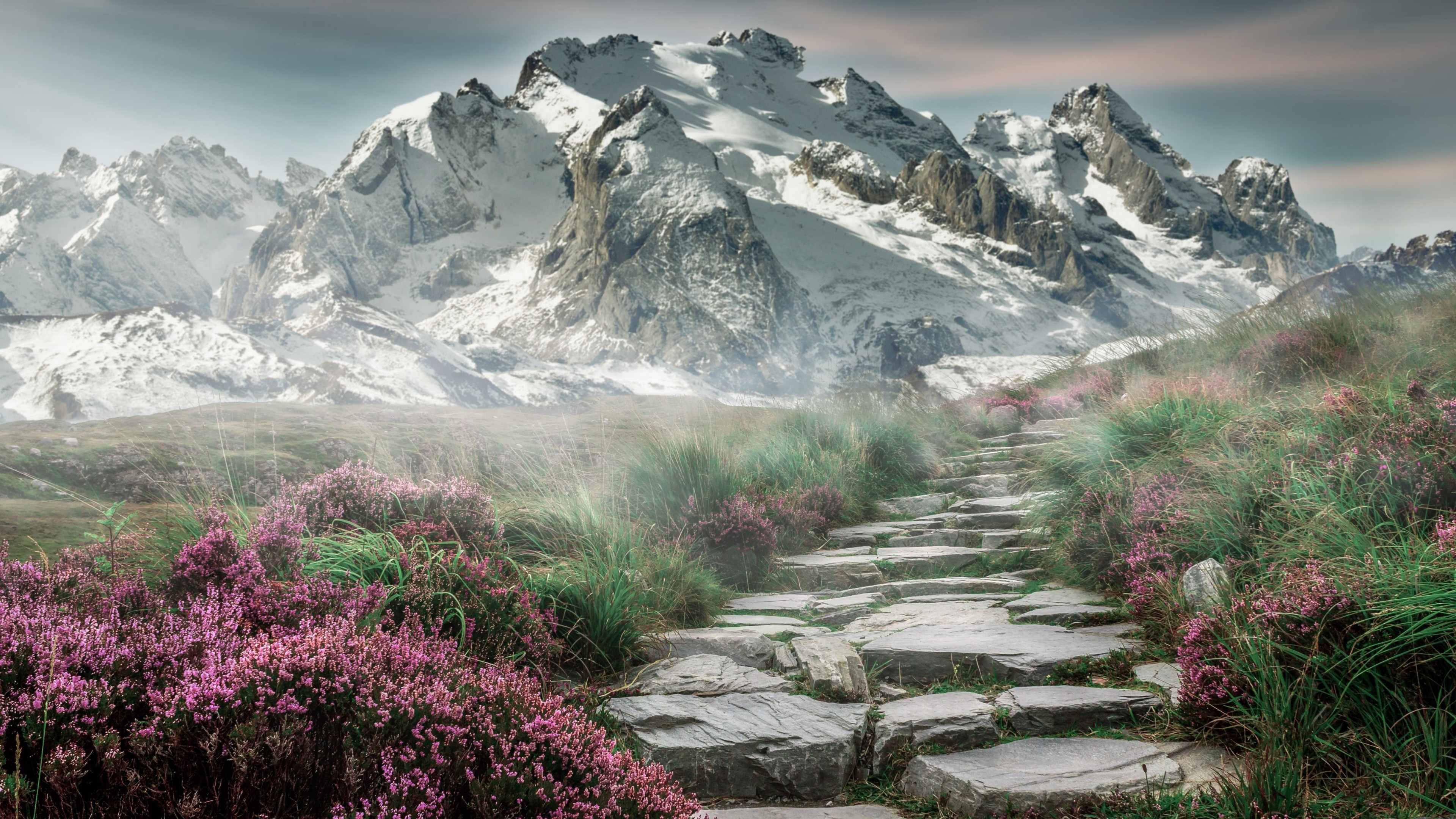 体操世锦赛，精湛技艺征服全场，体操世锦赛2021官网