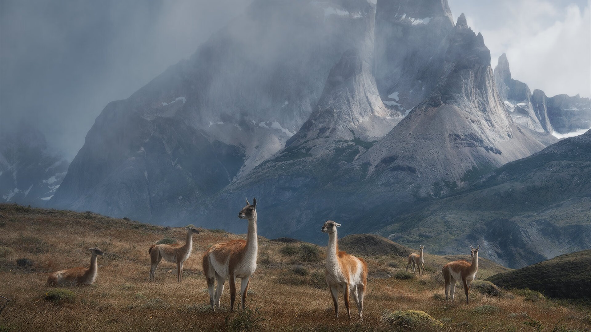 掘金联合AI公司创建虚拟拉拉队系统,掘金 it