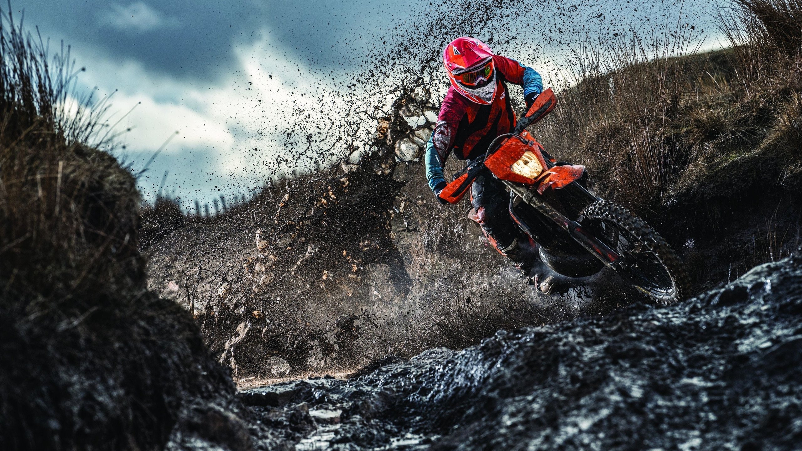 掘金连胜延续至11场，战术执行力被称教科书级，掘金队最新交易信息