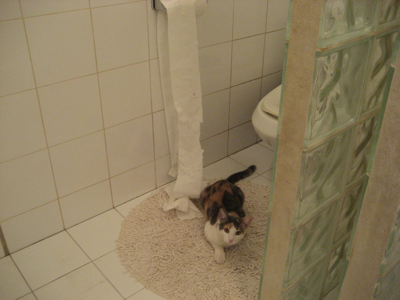 掘金连胜延续至11场,战术执行力被称教科书级,掘金队最新交易信息