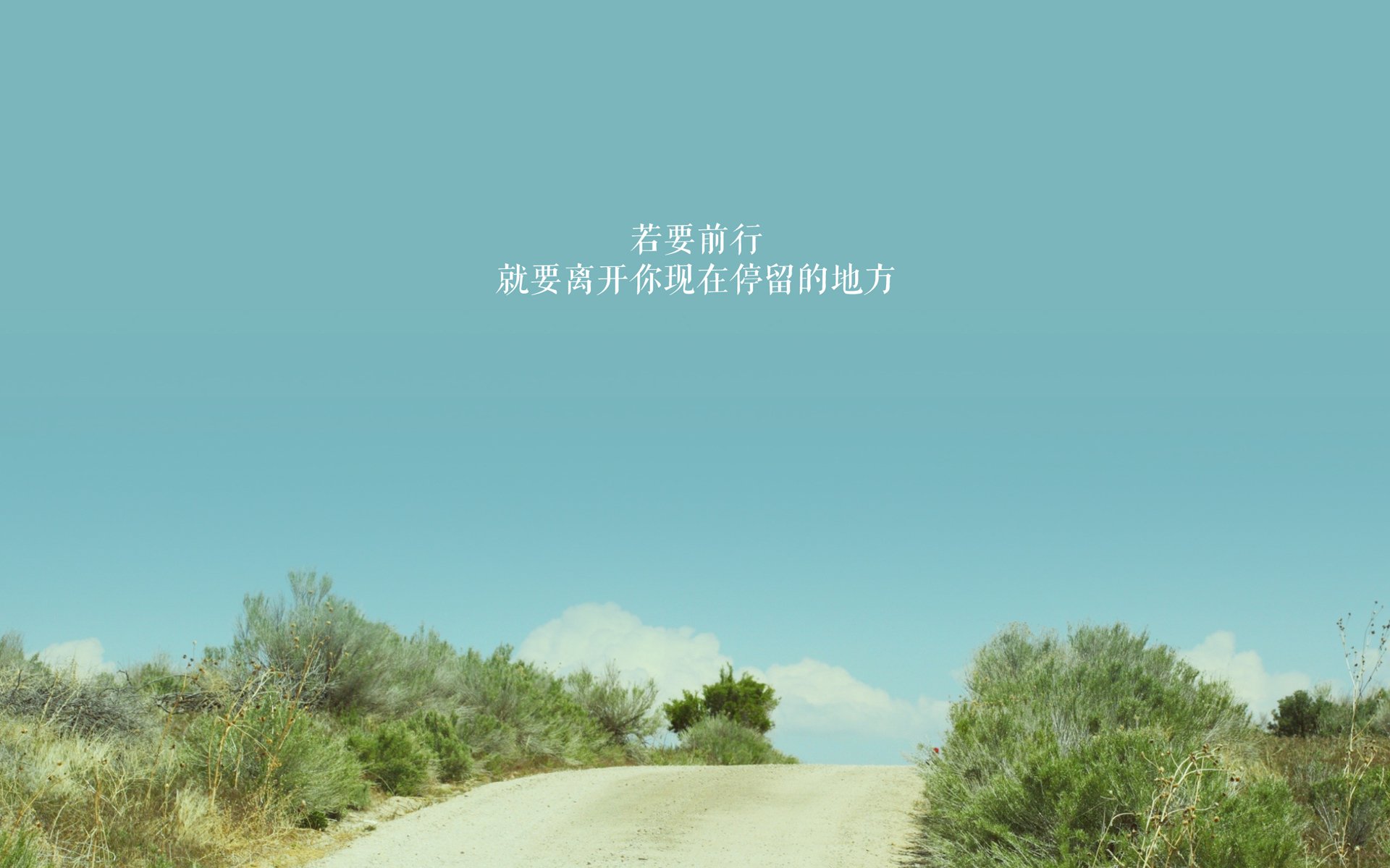 本土选手爆发：在家门口书写奇迹