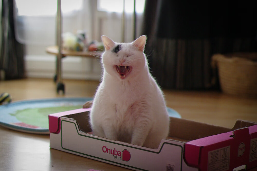 电竞与台球结合，开启新型竞技模式，电竞台球官方