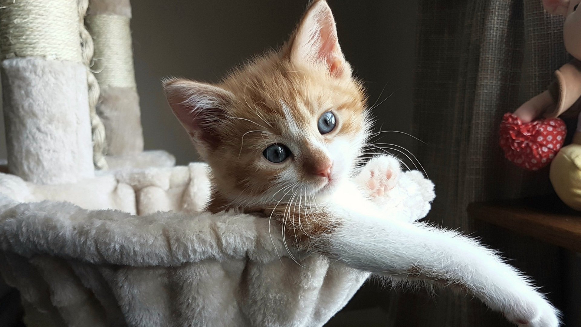 TES推行智能化训练数据管理平台，智能化训练理念