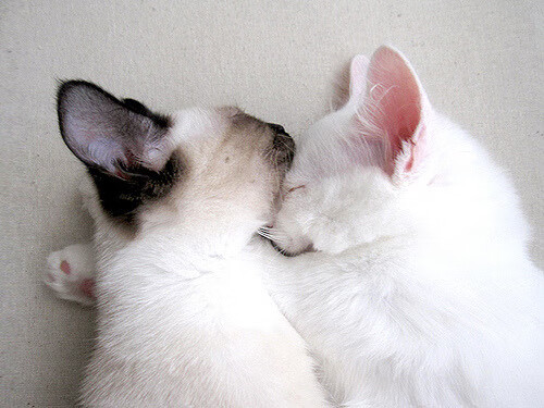 TES推行职业选手心理健康日常监测,职业选手心理素质