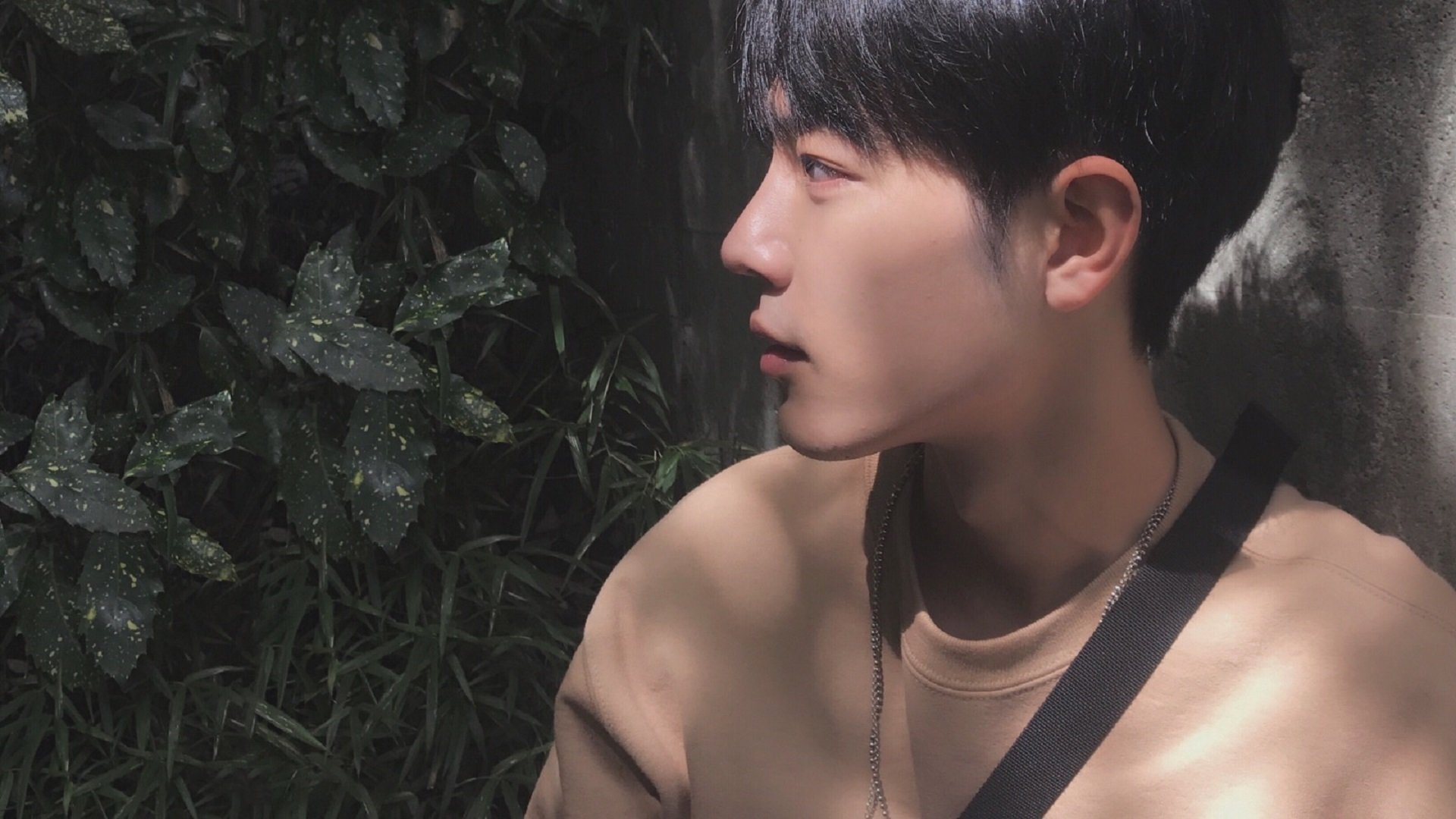 保加利亚队主场胜安道尔，小组出线希望渺茫，保加利亚队的独特至极