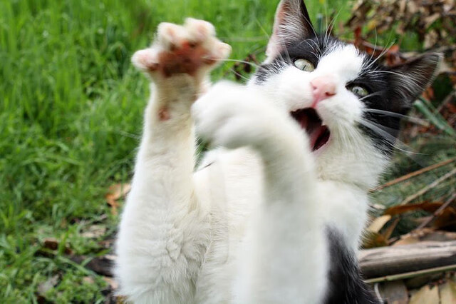 利物浦客场战胜阿斯顿维拉，英超卫冕梦想闪现，英超利物浦对阿斯顿维拉