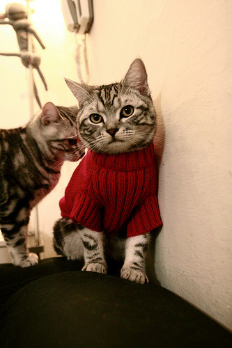 姆巴佩获得法甲最佳球员奖，表现出色，法甲姆巴佩在哪个球队