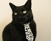 维达德卡萨布兰卡球员转会动态，市场引援活跃，baxter卡萨布兰卡