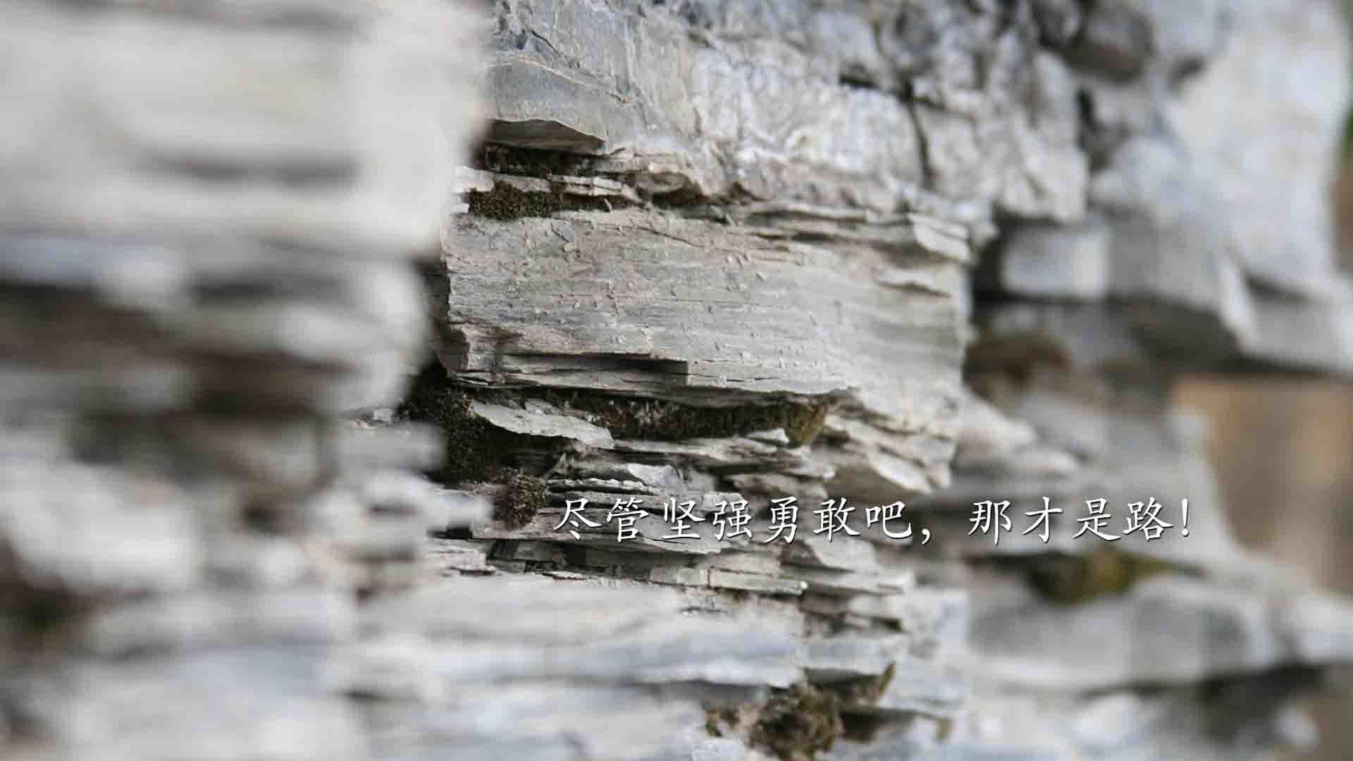 荷兰骑手 Sanne de Jong 在巴黎奥运会三项赛中获得第七名，展现出色表现。