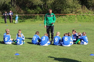 中国足球年度战术视频分析内容频次统计，中国足球战术风格