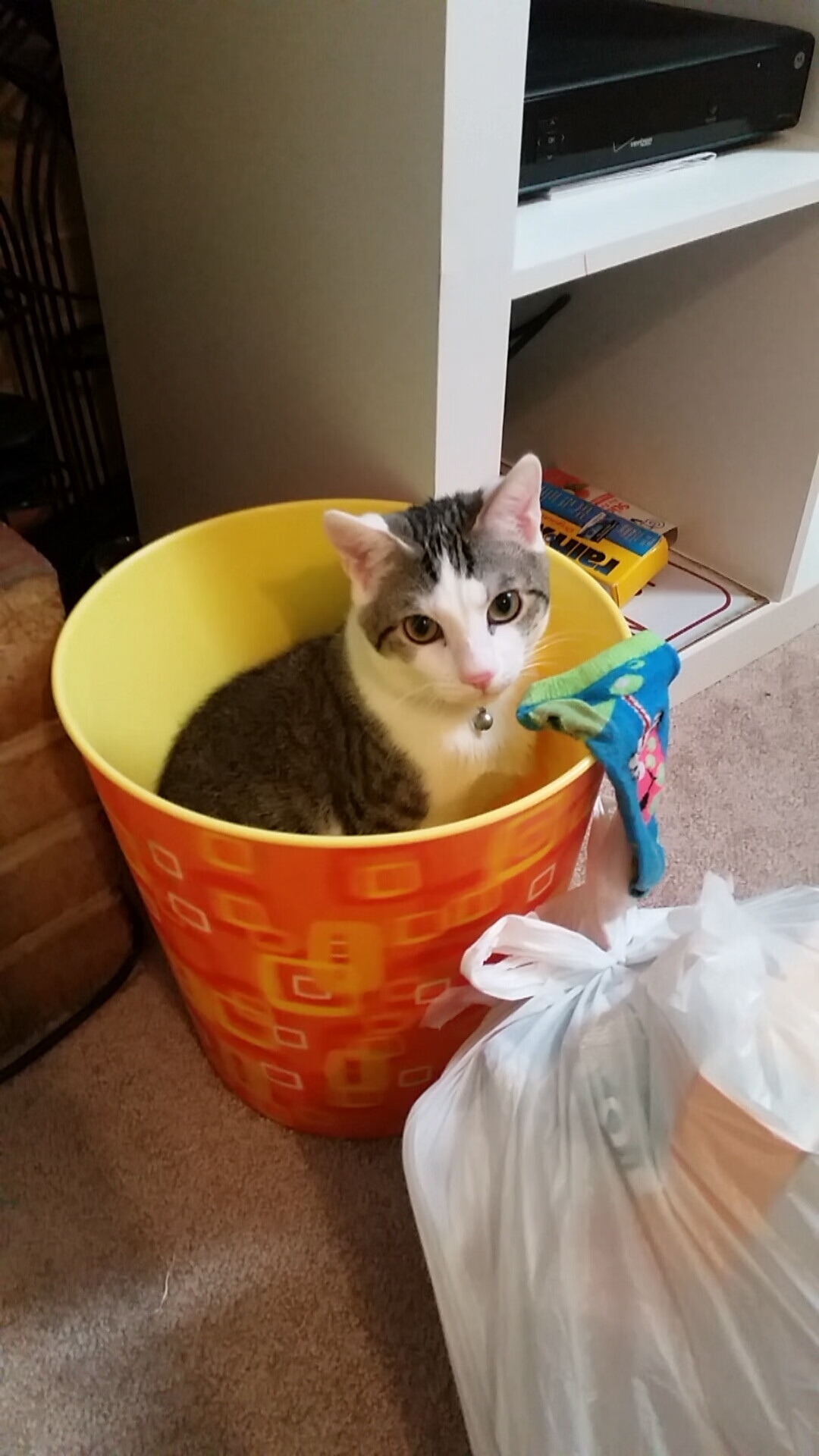 中国足球年度战术视频分析内容频次统计,中国足球战术风格