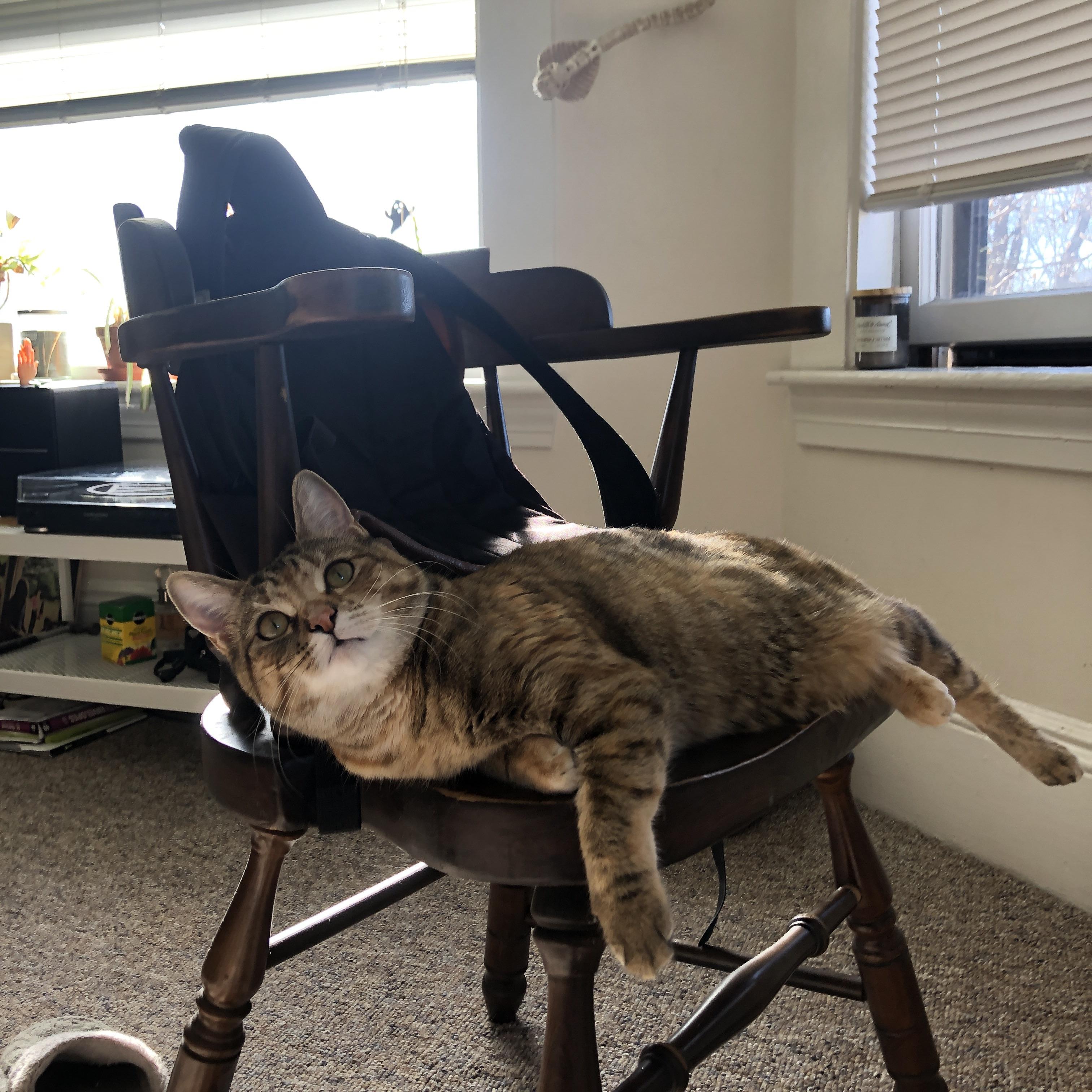 英超争冠激战：曼城与利物浦谁能笑到最后？，曼城和利物浦比赛结果