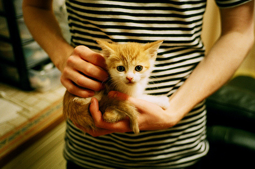 节奏偏快的球队是否适合打背靠背比赛,节奏偏快的球队是否适合打背靠背比赛