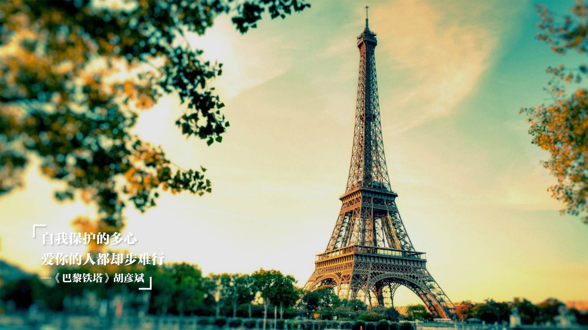 德甲白热战:攻防转换的极致演绎