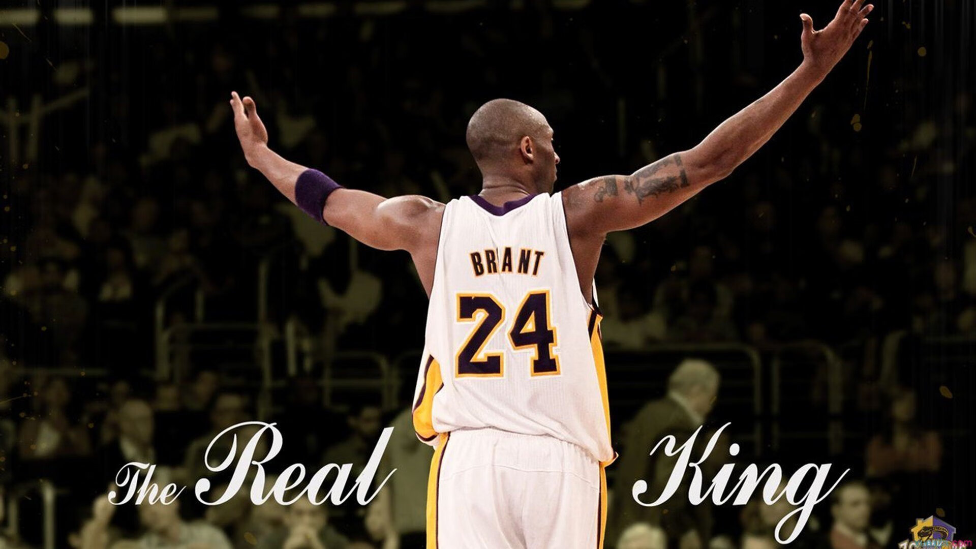 开云网页版登录入口-勇士推出AI分析球迷情绪系统，用于主场氛围优化，勇士球迷素质